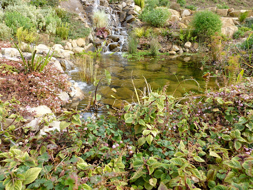 DreamScapes Water Features & Landscape image