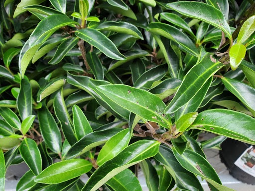 Home Improvement Store «The Home Depot», reviews and photos, 5411 Columbia Pike, Spring Hill, TN 37174, USA