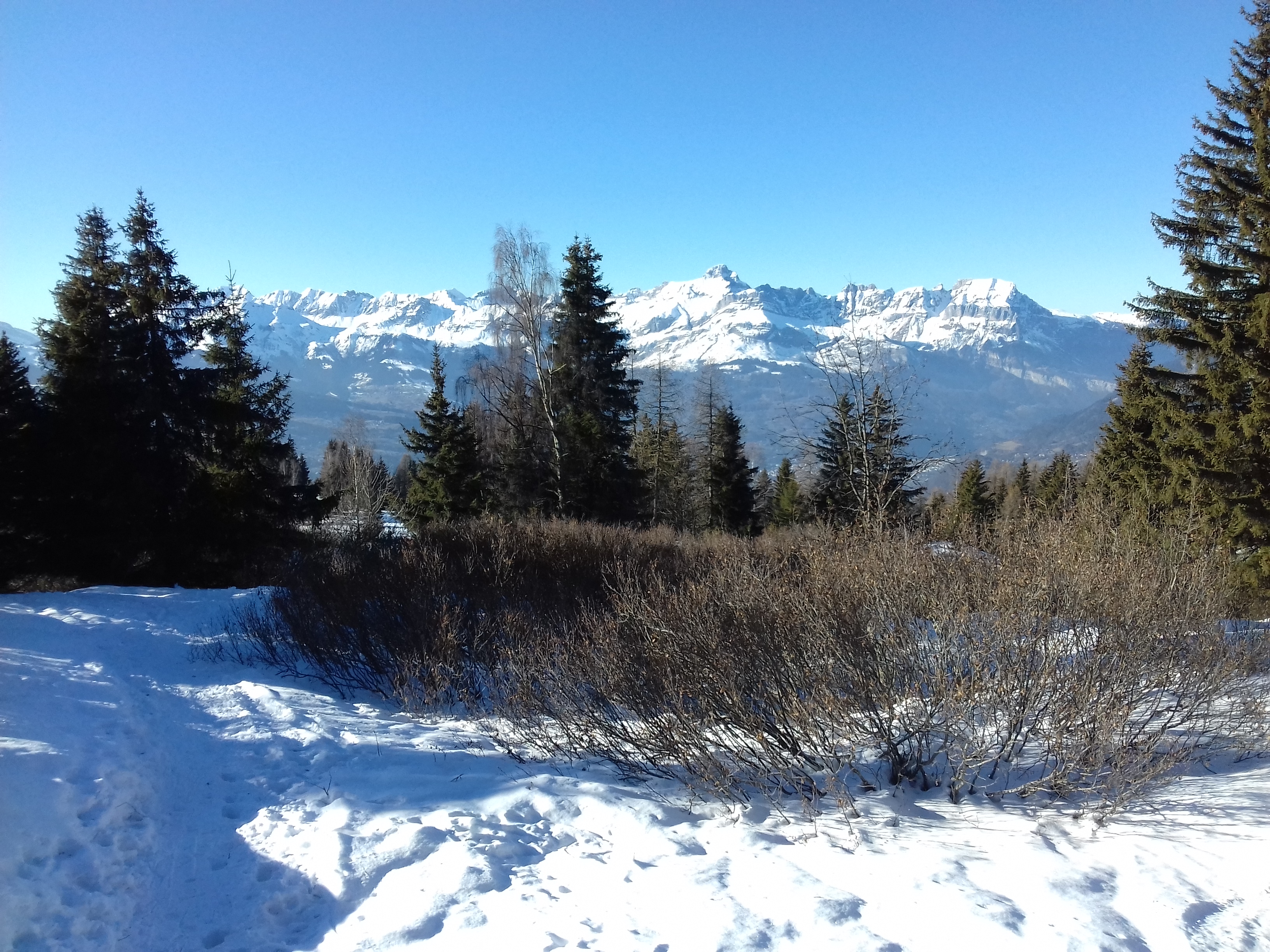 Photo n° 35 de l'avis de Fabrice.u fait le 18/01/2020 à 23:03