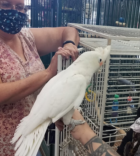 Pet Store «Pettin Place», reviews and photos, 1121 S Wells Ave, Reno, NV 89502, USA