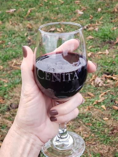 Winery «CeNita Vineyards, Winery & Tasting Room», reviews and photos, 591 Dock Dorsey Rd, Cleveland, GA 30528, USA