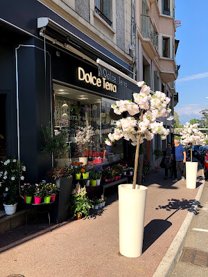 Dolce Terra - Fleurs & Design à Publier