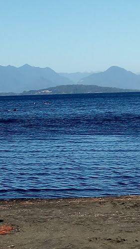 Comentarios y opiniones de Camping de Colun, Puerto Nuevo, Lago Ranco