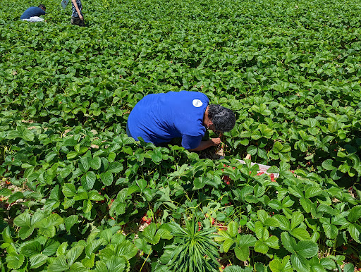 Farm «Four Town Farm», reviews and photos, 90 George St, Seekonk, MA 02771, USA