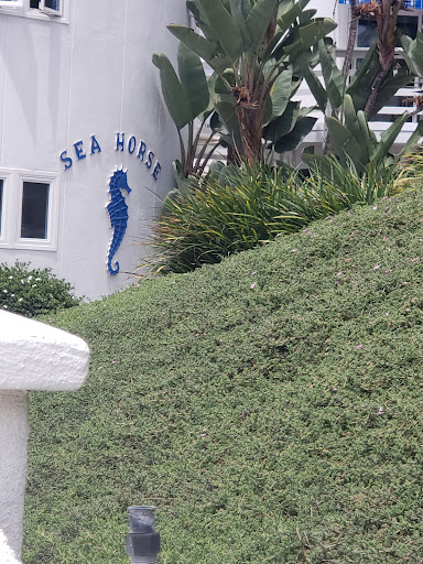 Sea Horse Resort image