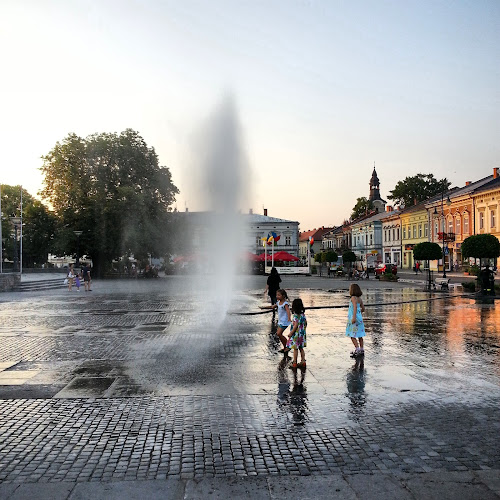 Comentarii opinii despre Urząd Miasta Nowego Sącza