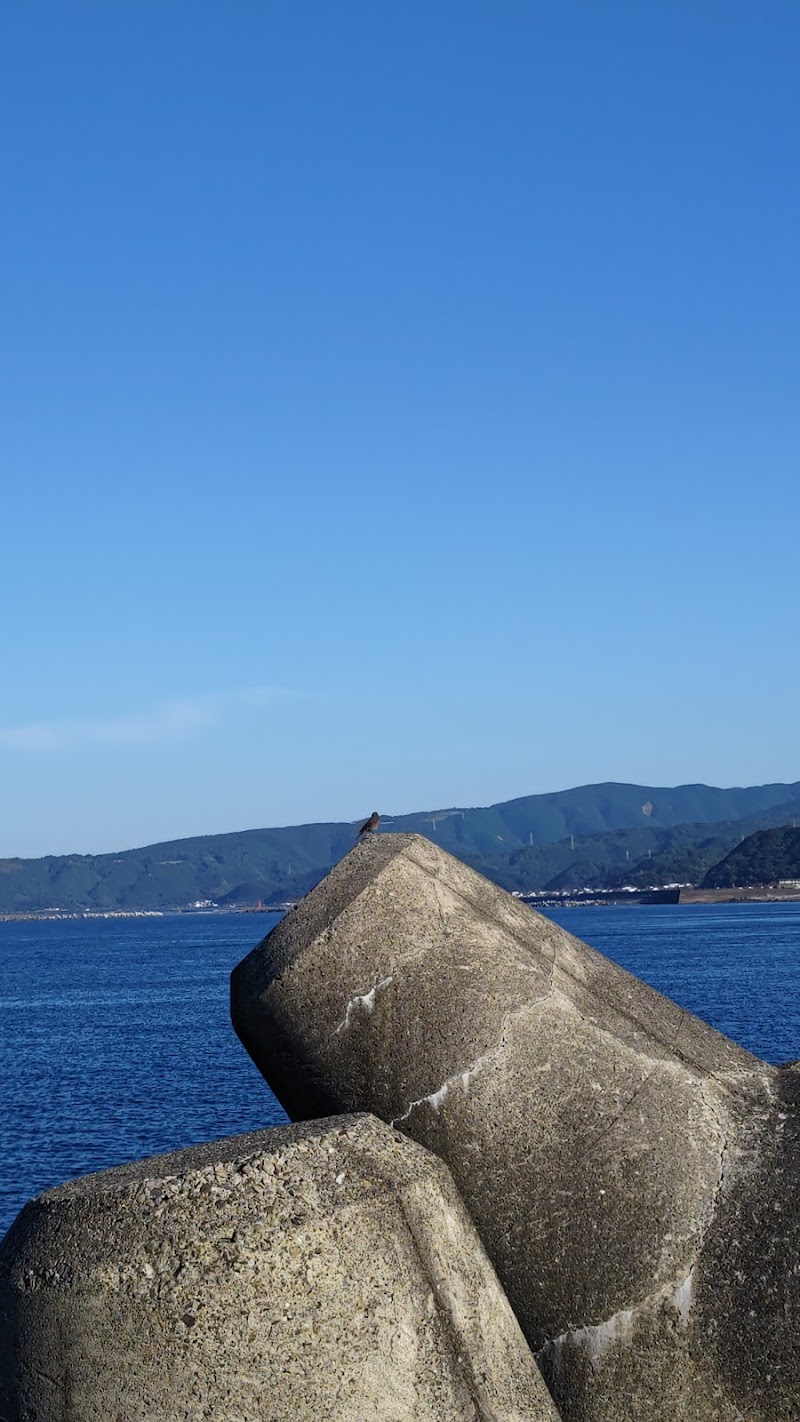 室戸岬漁港沖防波堤A灯台