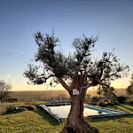 Photo n°38 de l'avis de Giuseppe.u fait le 26/12/2019 à 07:37 sur le  Relais Masseria Sant'Elia à Martina Franca