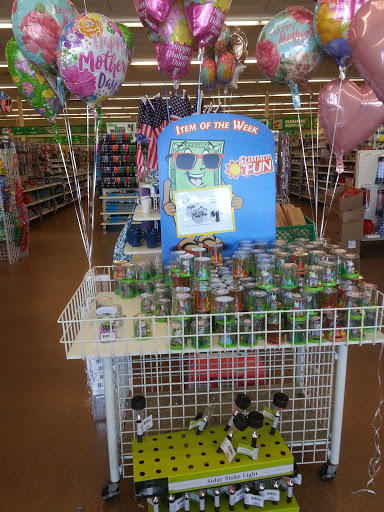 Dollar Store «Dollar Tree», reviews and photos, 1022 Mineral Wells Ave, Paris, TN 38242, USA