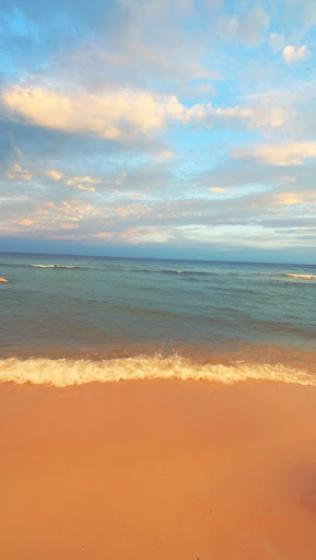 Johnny Bryan review picture