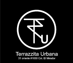 terrazzita urbana photo