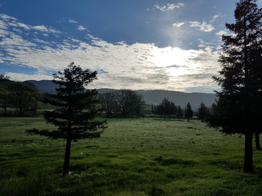 Coffee Shop «Starbucks», reviews and photos, 1198 S Cloverdale Blvd, Cloverdale, CA 95425, USA