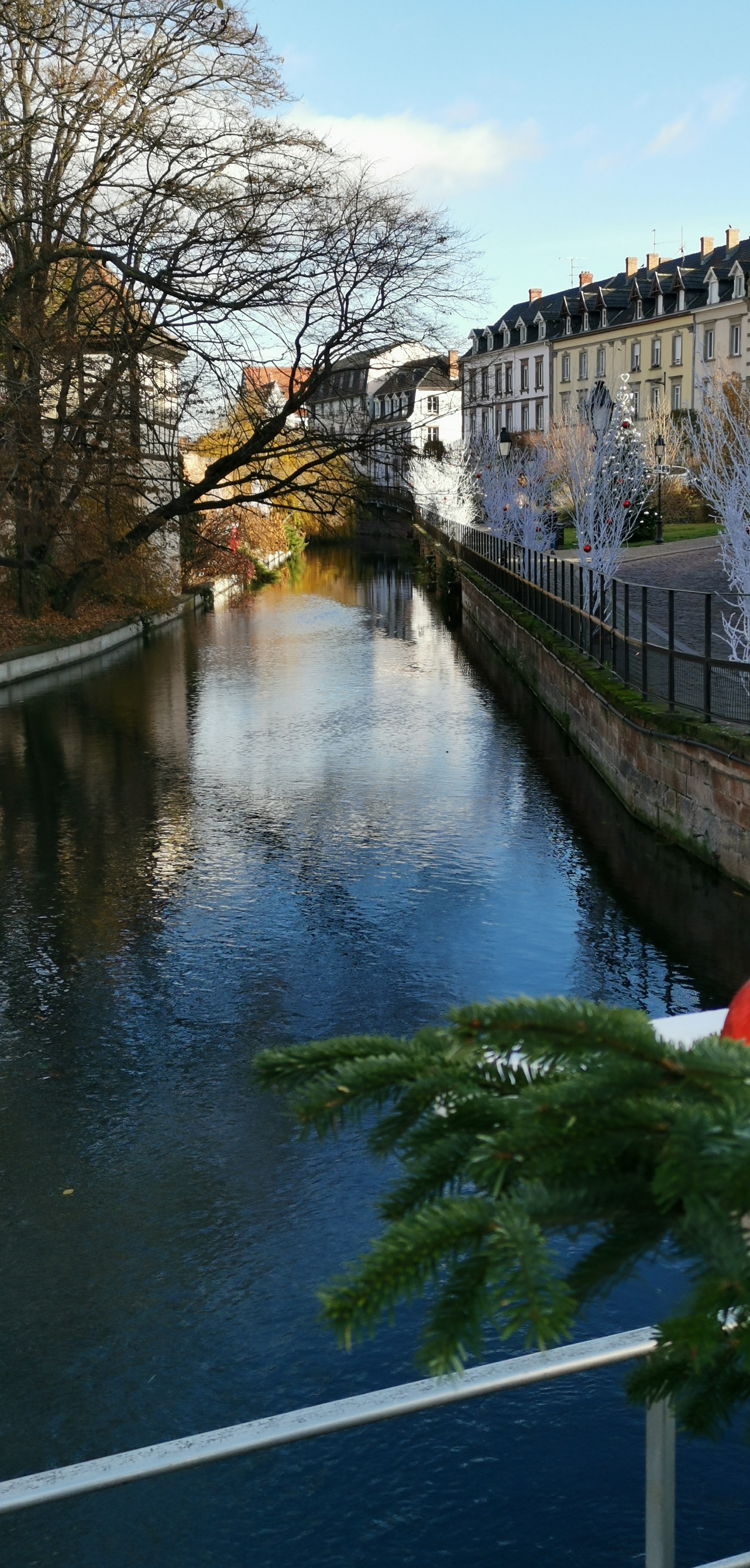 Photo n° 5 de l'avis de Denis.o fait le 15/12/2021 à 16:48
