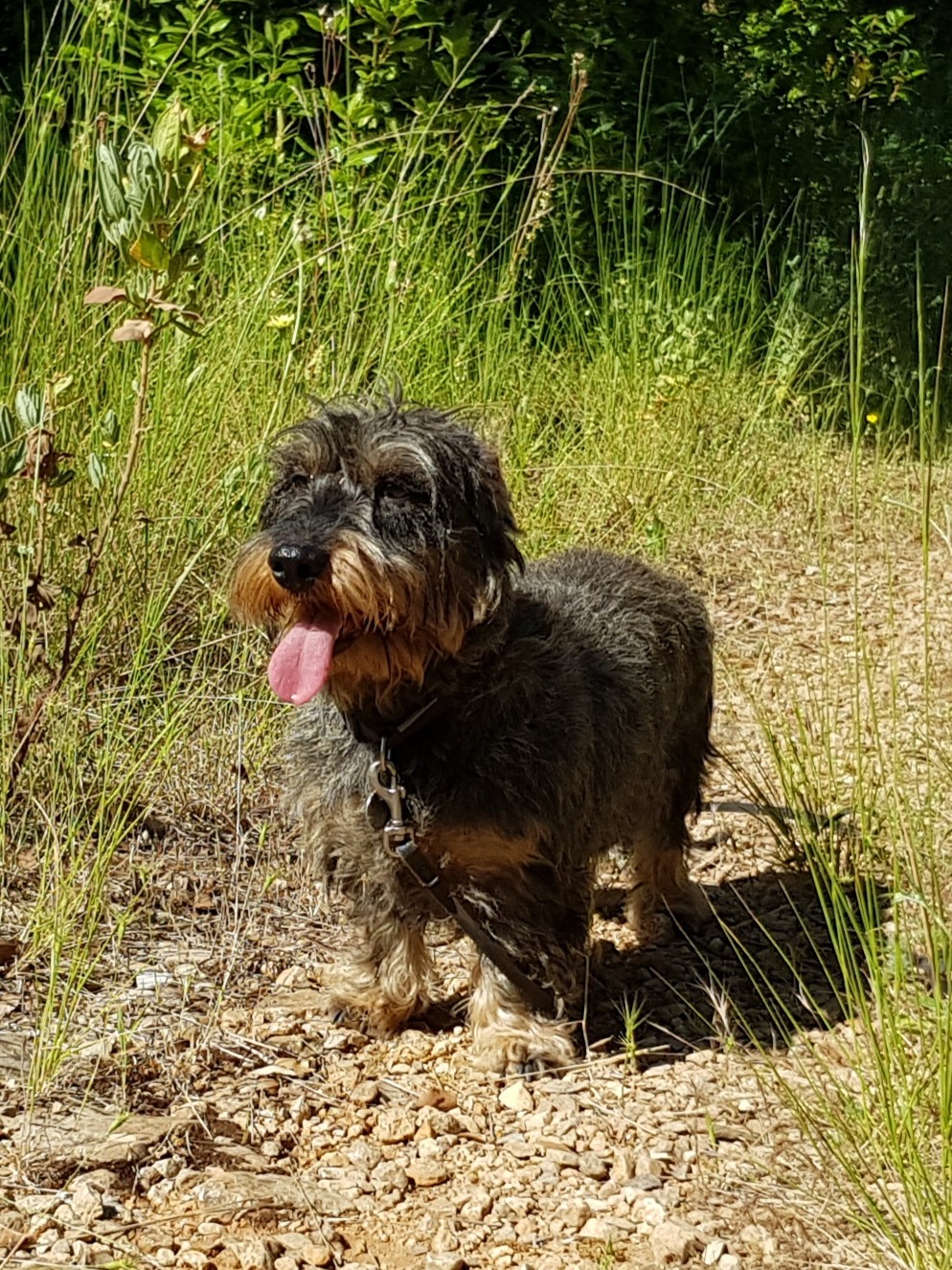 Photo n° 2 de l'avis de Estelle.k fait le 10/06/2019 à 07:44