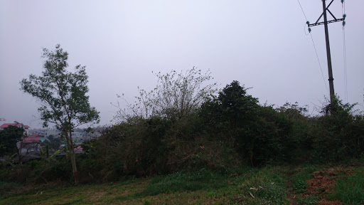 Top 17 cửa hàng brother Huyện Mộc Châu Sơn La 2022