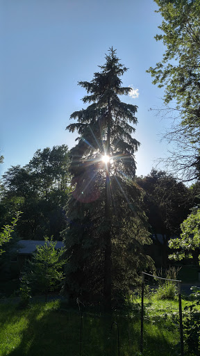 Park «Hansen Park», reviews and photos, 1555 5th St NW, New Brighton, MN 55112, USA