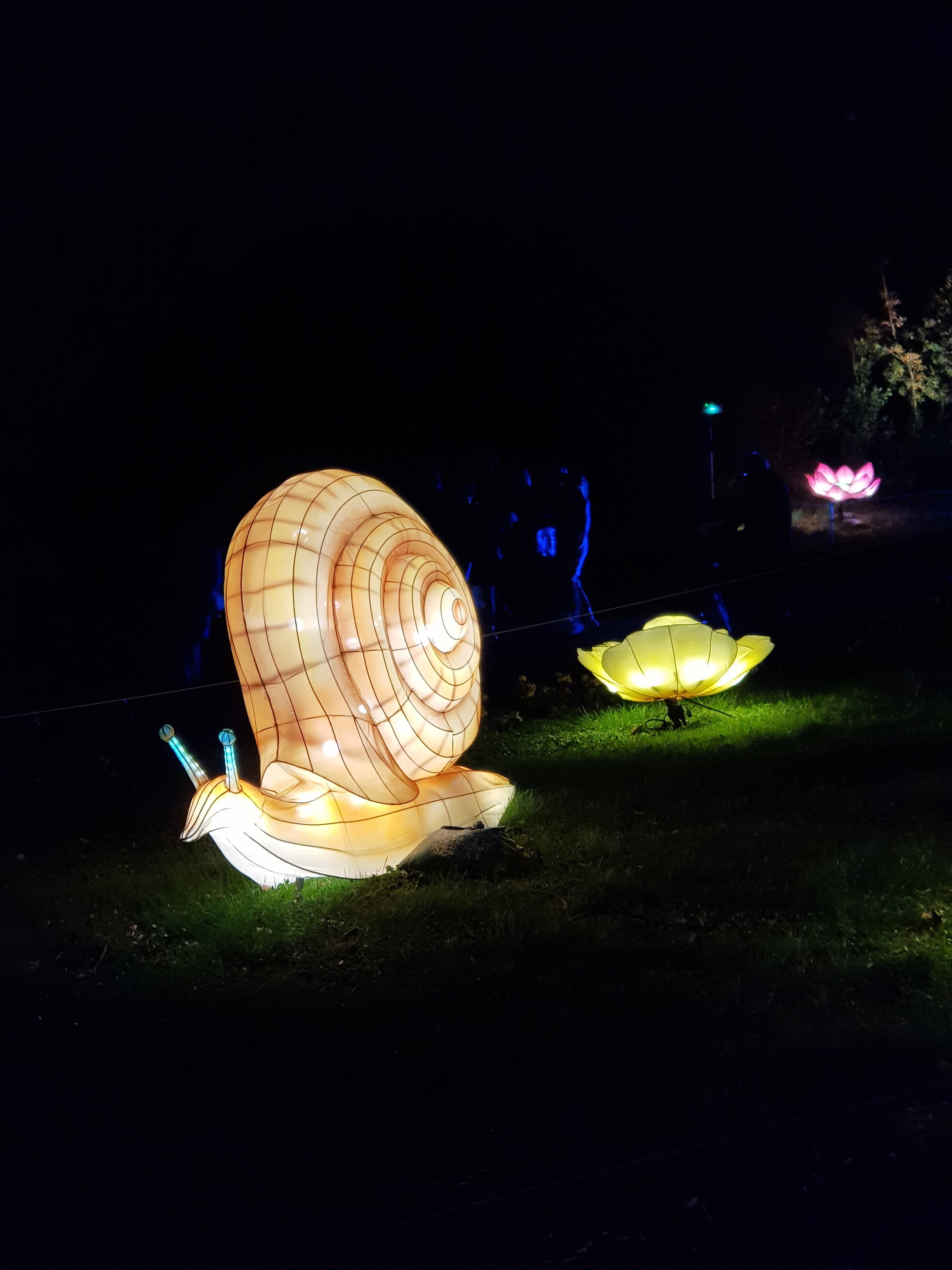 Photo n° 24 de l'avis de AlexBebop. fait le 30/12/2019 à 10:04