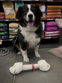 Pet Supplies Plus Forney - Photo 1 - Car repair in Forney, TX, Garland