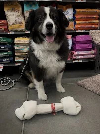 Pet Supplies Plus Forney - Car repair in Forney, TX, Garland - Rated 4.6/5