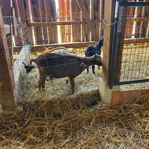 Produce Market «Miller Farms», reviews and photos, 10140 Piscataway Rd, Clinton, MD 20735, USA