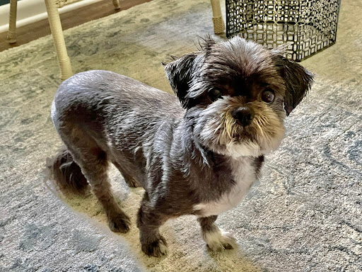 Kerpsack Veterinary Clinic image