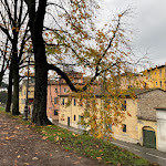 Photo n°2 de l'avis de Barbara.s fait le 04/01/2023 à 20:47 sur le  Il Vicolo à Lucca