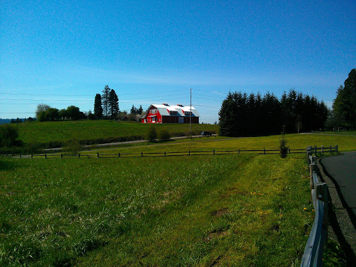 Restaurant «Oswego Hills Vineyard», reviews and photos, 450 Rosemont Rd, West Linn, OR 97068, USA