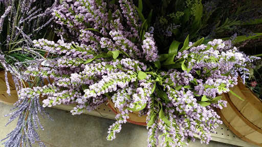 Home Goods Store «At Home», reviews and photos, 11221 Outlet Dr, Knoxville, TN 37932, USA