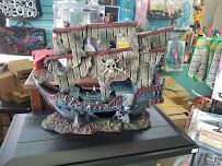 Petshop Bellas Mascotas Grooming & Hotel - Photo 2 - Car repair in Arecibo, Puerto Rico, Arecibo