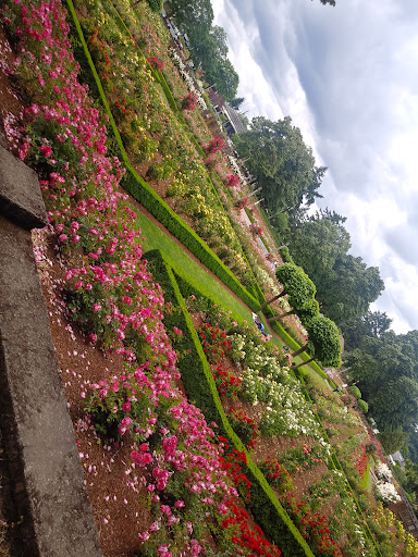 Community Center «Peninsula Park Community Center», reviews and photos, 700 N Rosa Parks Way, Portland, OR 97217, USA