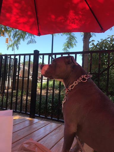 Liquor Store «Cambridge Wines», reviews and photos, 10 Lafayette Ave, Morristown, NJ 07960, USA