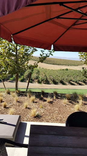 Winery «Matchbook Wine Company», reviews and photos, 12300 County Rd 92B, Zamora, CA 95698, USA