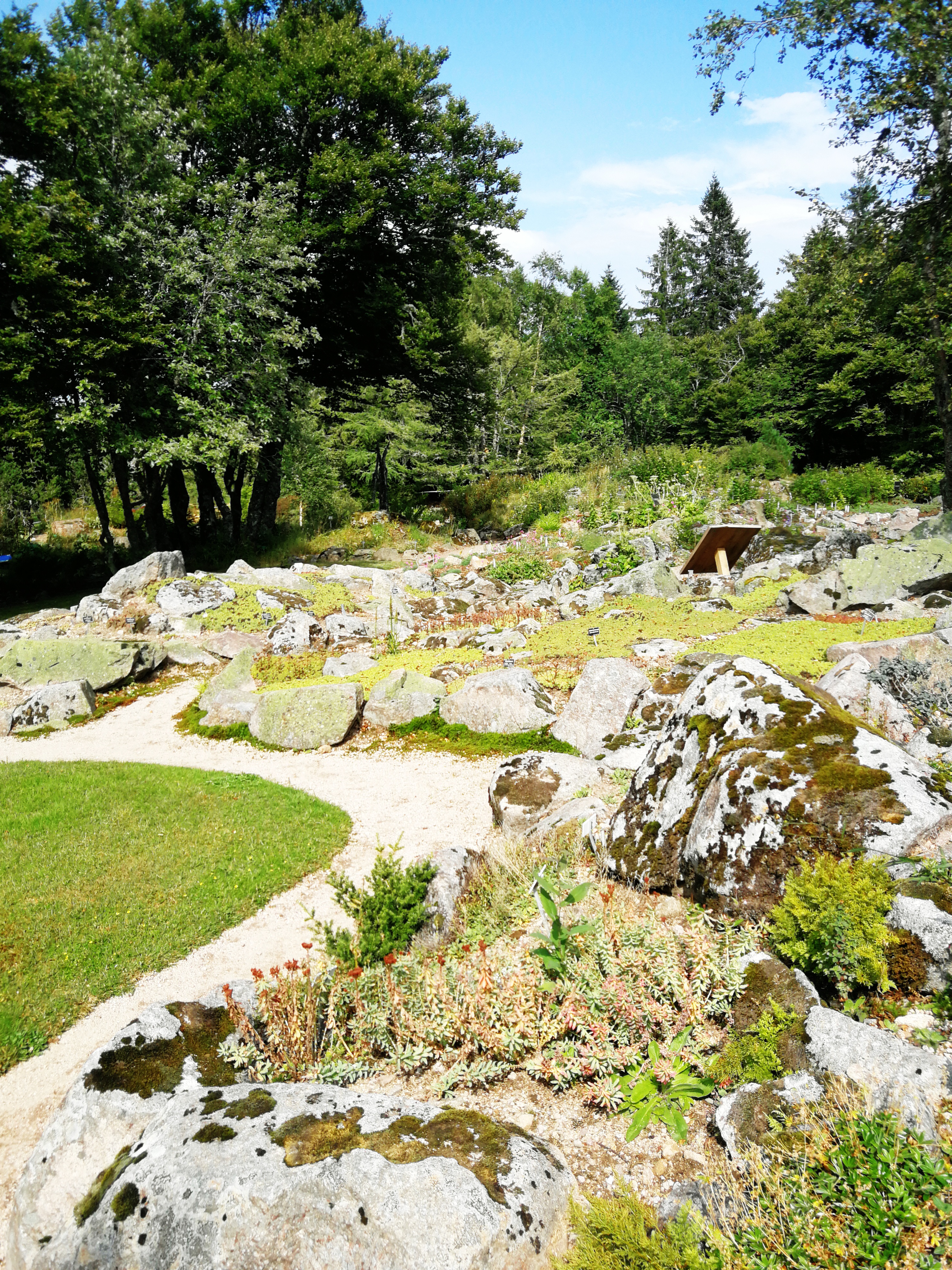 Photo n° 3 de l'avis de Matthieu.i fait le 28/08/2019 à 09:48