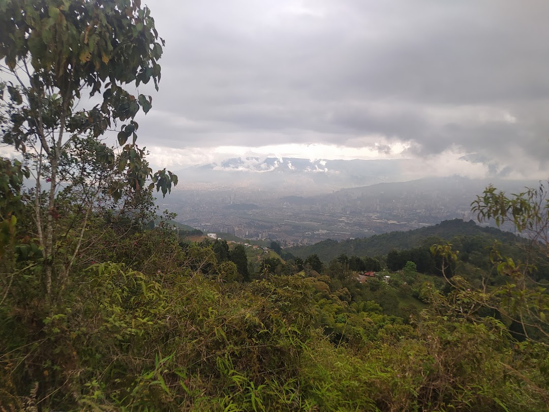 Reserva forestal Manzanillo