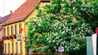 Photos du propriétaire du Restaurant de spécialités alsaciennes Restaurant À l'arbre vert à Kirchheim - n°3