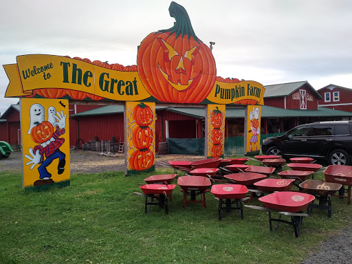 Great Pumpkin Farm image 5