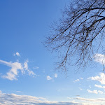 Photo n°1 de l'avis de Maila. fait le 03/03/2020 à 18:36 sur le  Seebar Starnberg à Starnberg