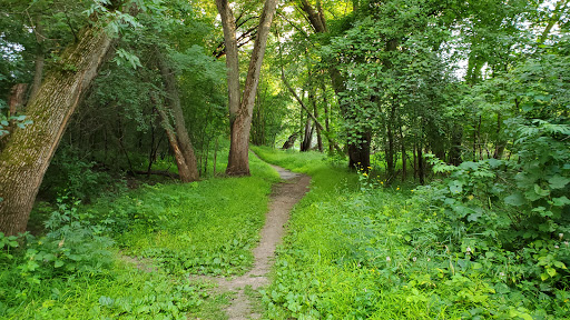 Park «Cambridge City Park», reviews and photos