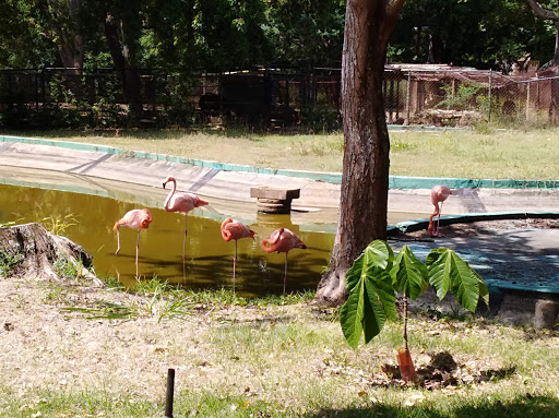 Parque Zoológico y Botánico Bararida