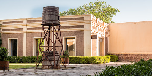 Bodegas de vino en Mendoza