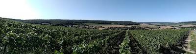 Champagne Férat Marion à Cuchery