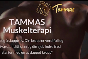 Tammas As image