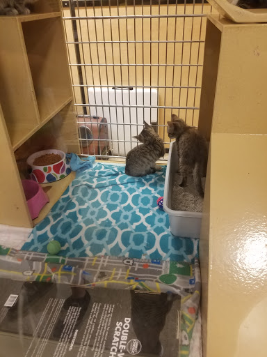 Pet Supply Store «PetSmart», reviews and photos, 6622 Charlotte Pike Suite 108, Nashville, TN 37209, USA