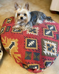 ALL PET - Pet Shop - Pet Groοming - Photo 9 - Car repair in Artemida, Greece, Muskegon