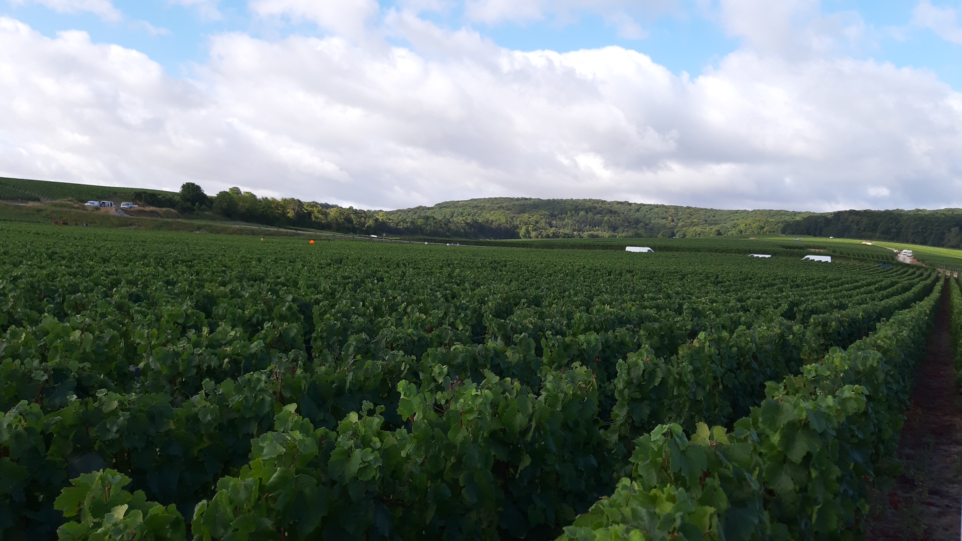 Photo n° 2 de l'avis de grégory.A fait le 26/08/2020 à 07:19