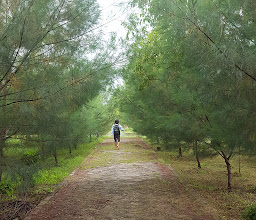 Hutan Kota Pakal photo