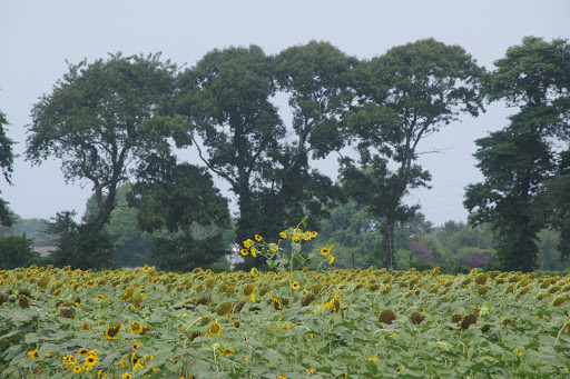 Water Park «Splish Splash Water Park», reviews and photos, 2549 Splish Splash Dr, Calverton, NY 11933, USA