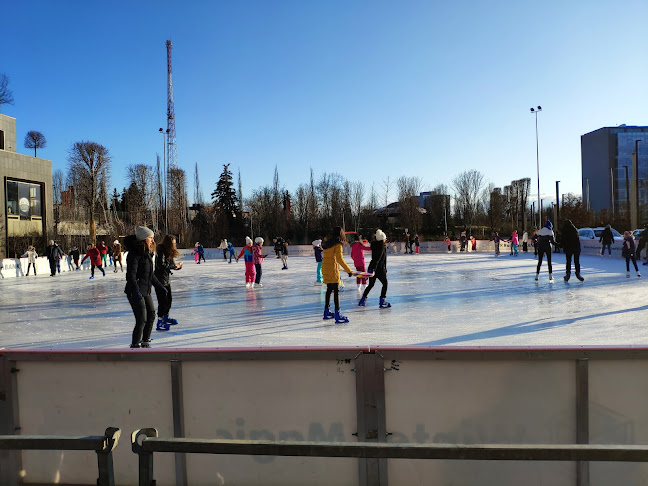 Timișoara 300254, România