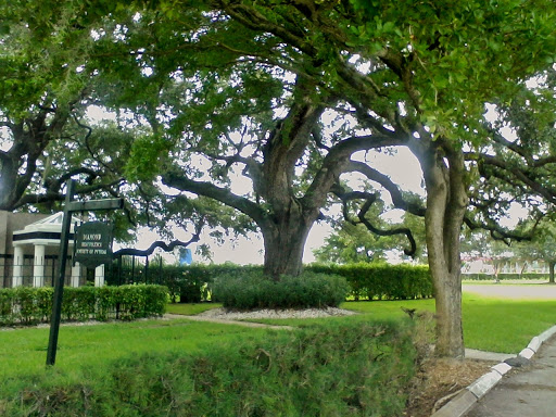 Funeral Home «Vista Memorial Gardens», reviews and photos, 14200 NW 57th Ave, Miami Lakes, FL 33014, USA