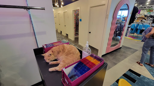 Used Clothing Store «iconoCLAD», reviews and photos, 414 300 S, Salt Lake City, UT 84111, USA